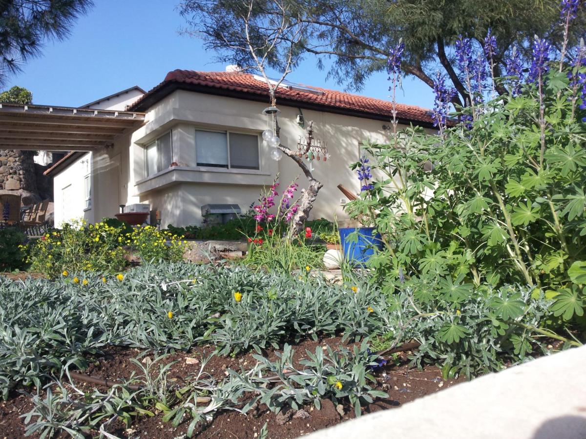 Lovely home above the Kinneret - Housity