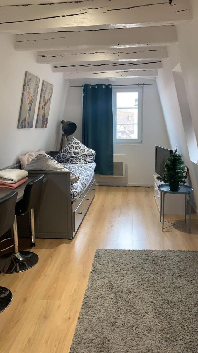 ** appartement cathédrale Strasbourg centre** - Housity