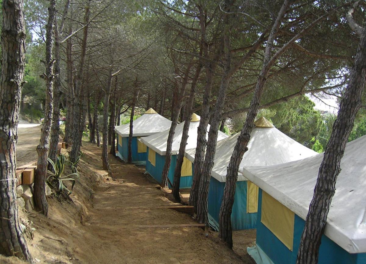 Càmping Kanguro - Housity