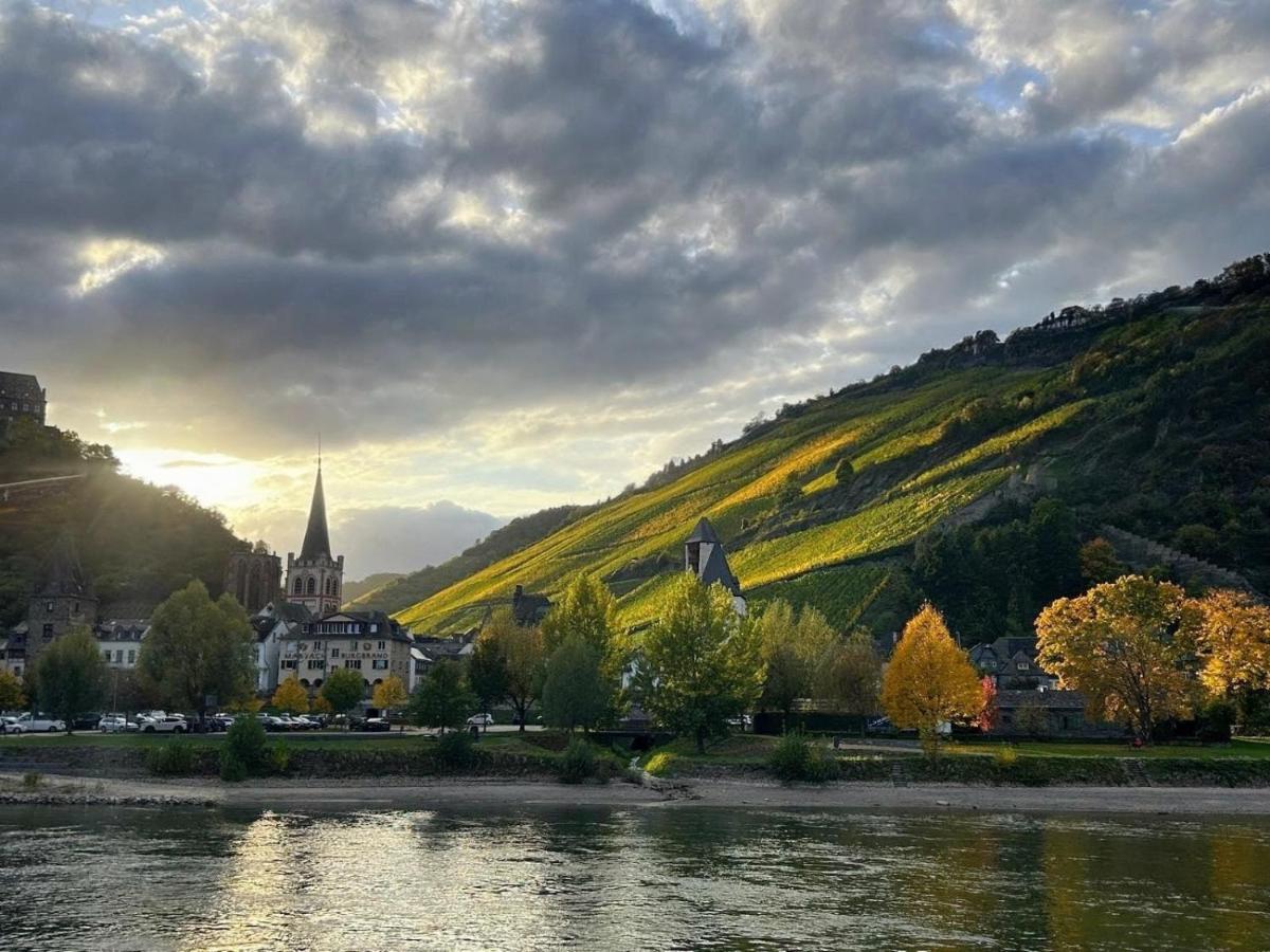 Apartments Stiehl - Housity