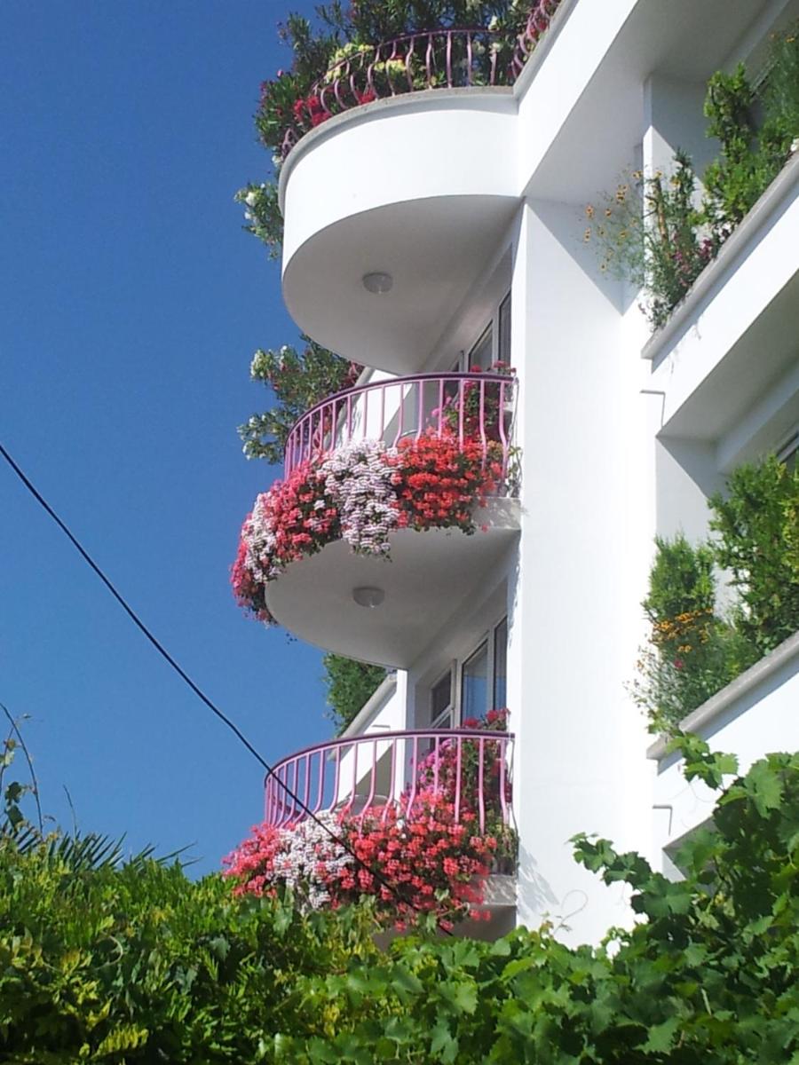 Guesthouse JANA - Housity