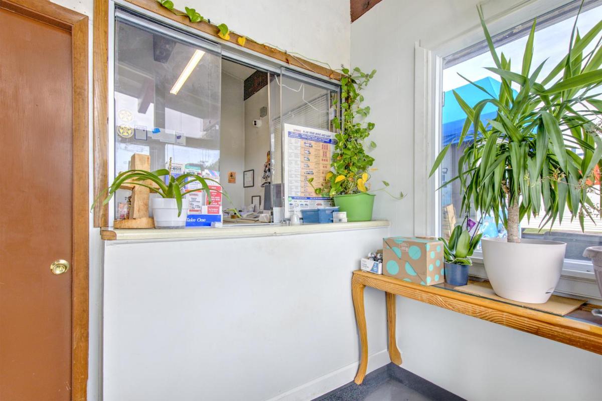 OYO Palm Leaf Motel - Housity