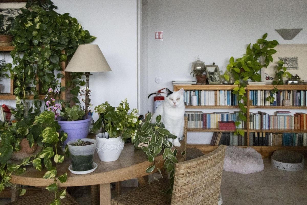 Large and Bright Room! Between Mondello Beach and Old Town! Free Park! - Housity