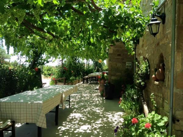 Spring Of Life Forever - Housity