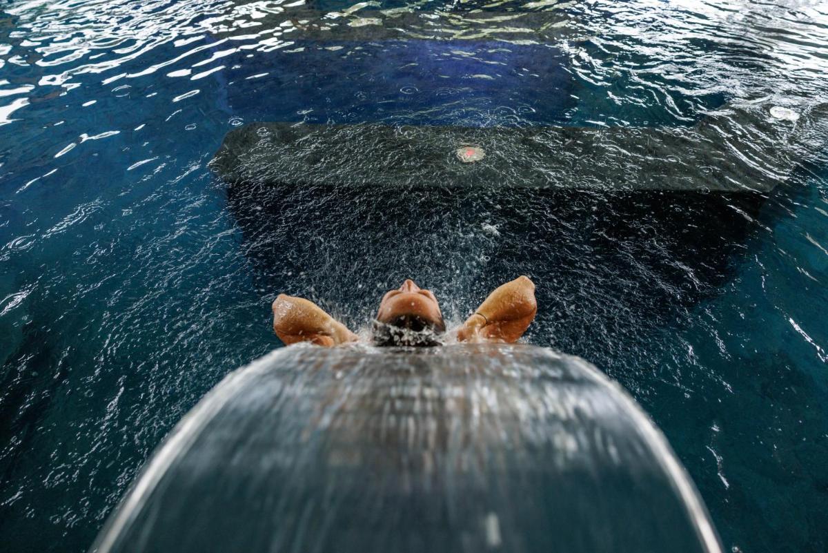Animaux dans l'hôtel ou à proximité