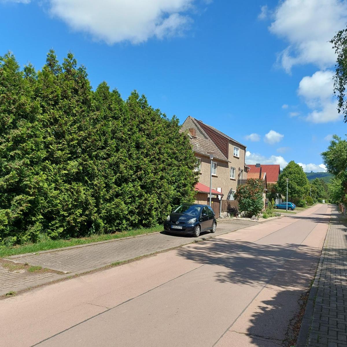 Ferienwohnung 'Frühauf' im Südharz OT Uftrungen - Housity