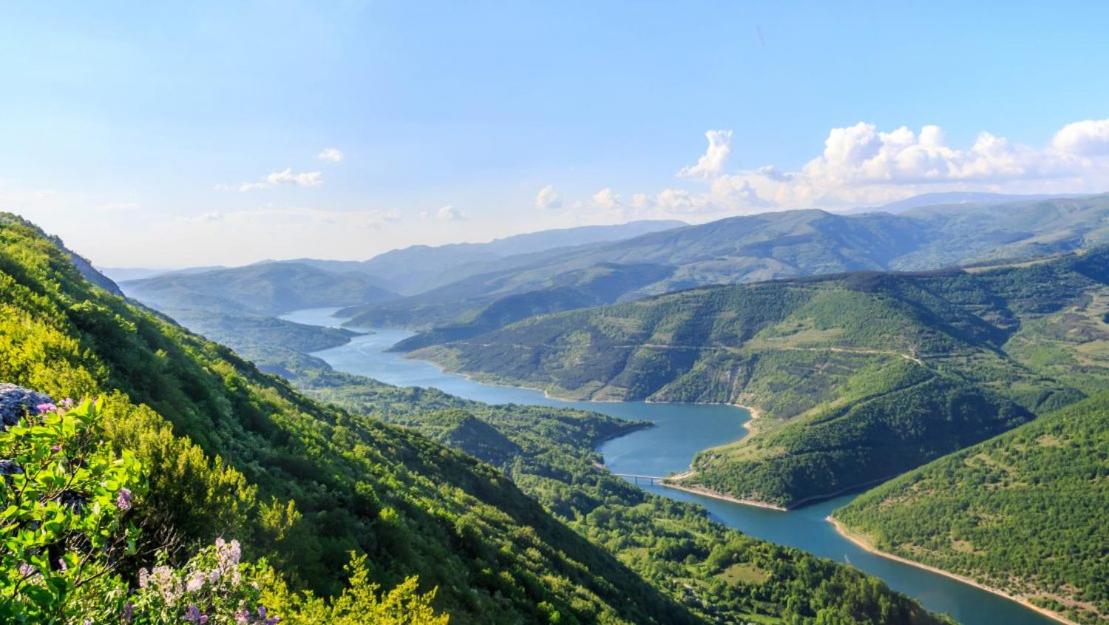 Hotel Happy - Housity