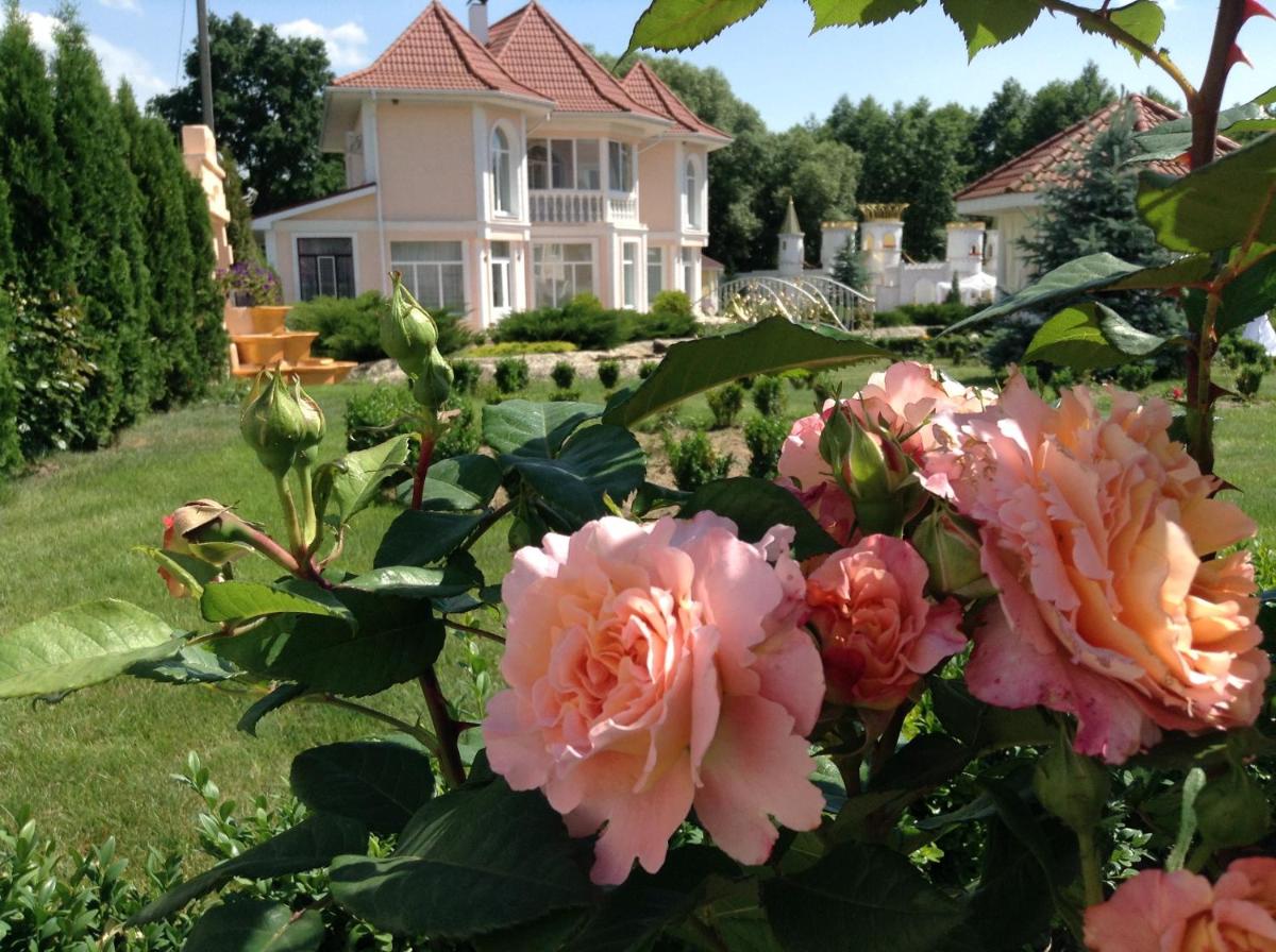 Edem teterivka village - Housity