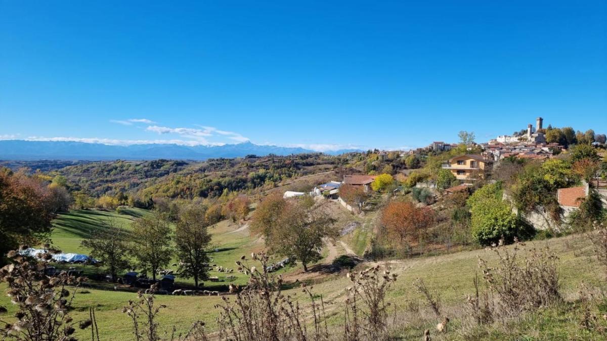 Little House in Alta Langa - Housity