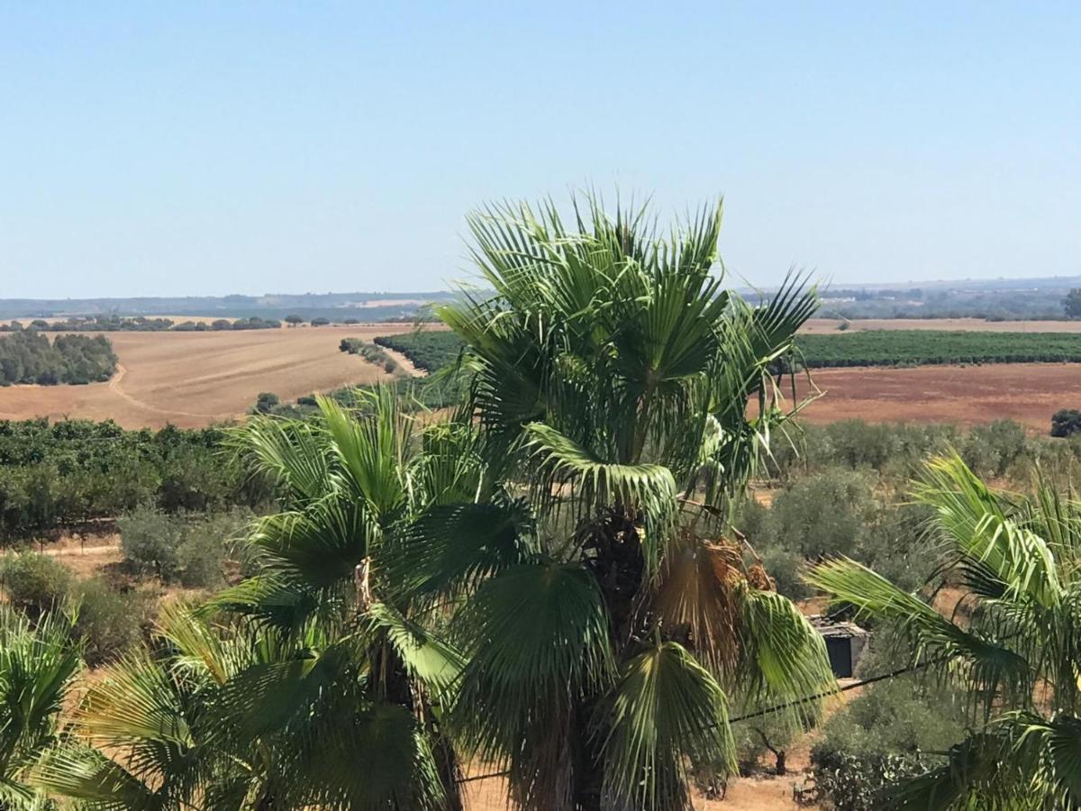 HACIENDA LA MACARENA DE SEVILLA - Housity