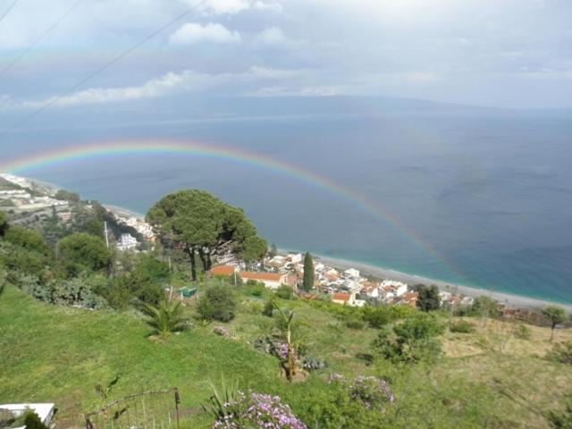 Villa Diana - Housity