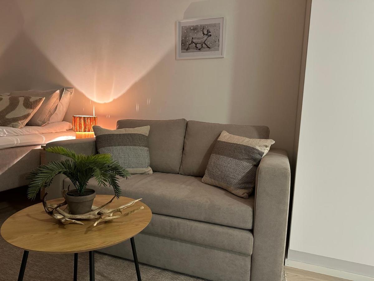 Santa's Holiday Homes - Hizvo