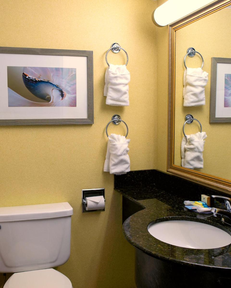 The Oceanfront Inn - Virginia Beach - Housity