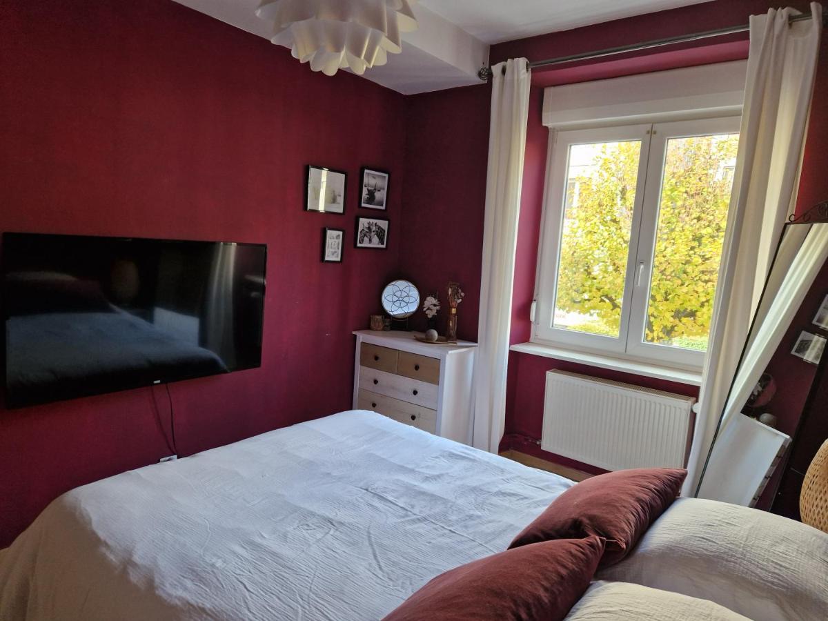 Cosy Appartement Complet centre-ville Montbéliard - Hizvo