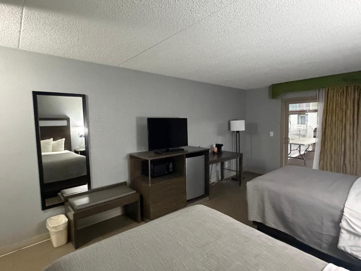 Q Lodge - Housity