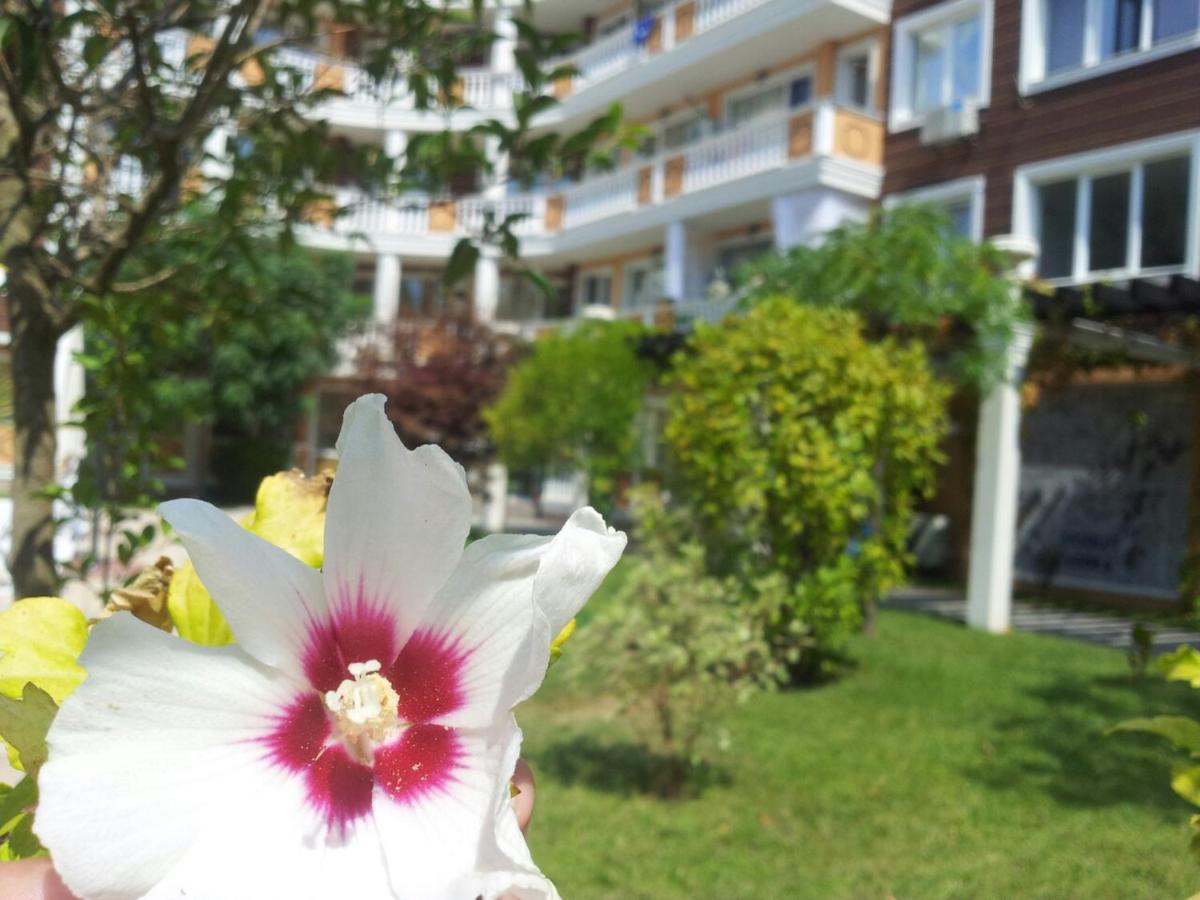 Villa Aria Complex - Housity