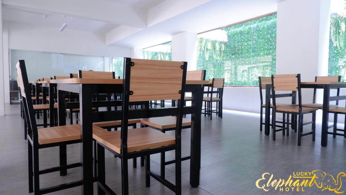 Lucky Elephant Hotel - Housity