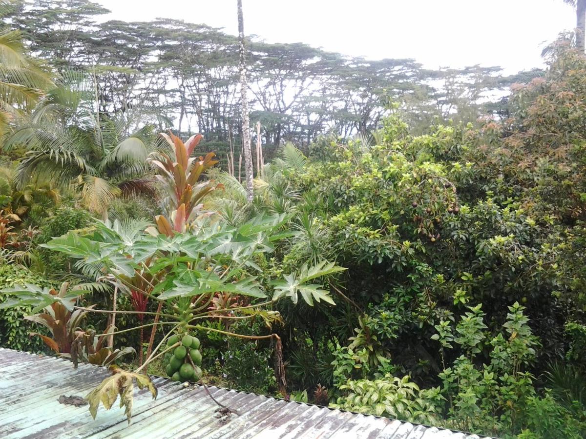 Lava Tree Tropic Inn - Housity