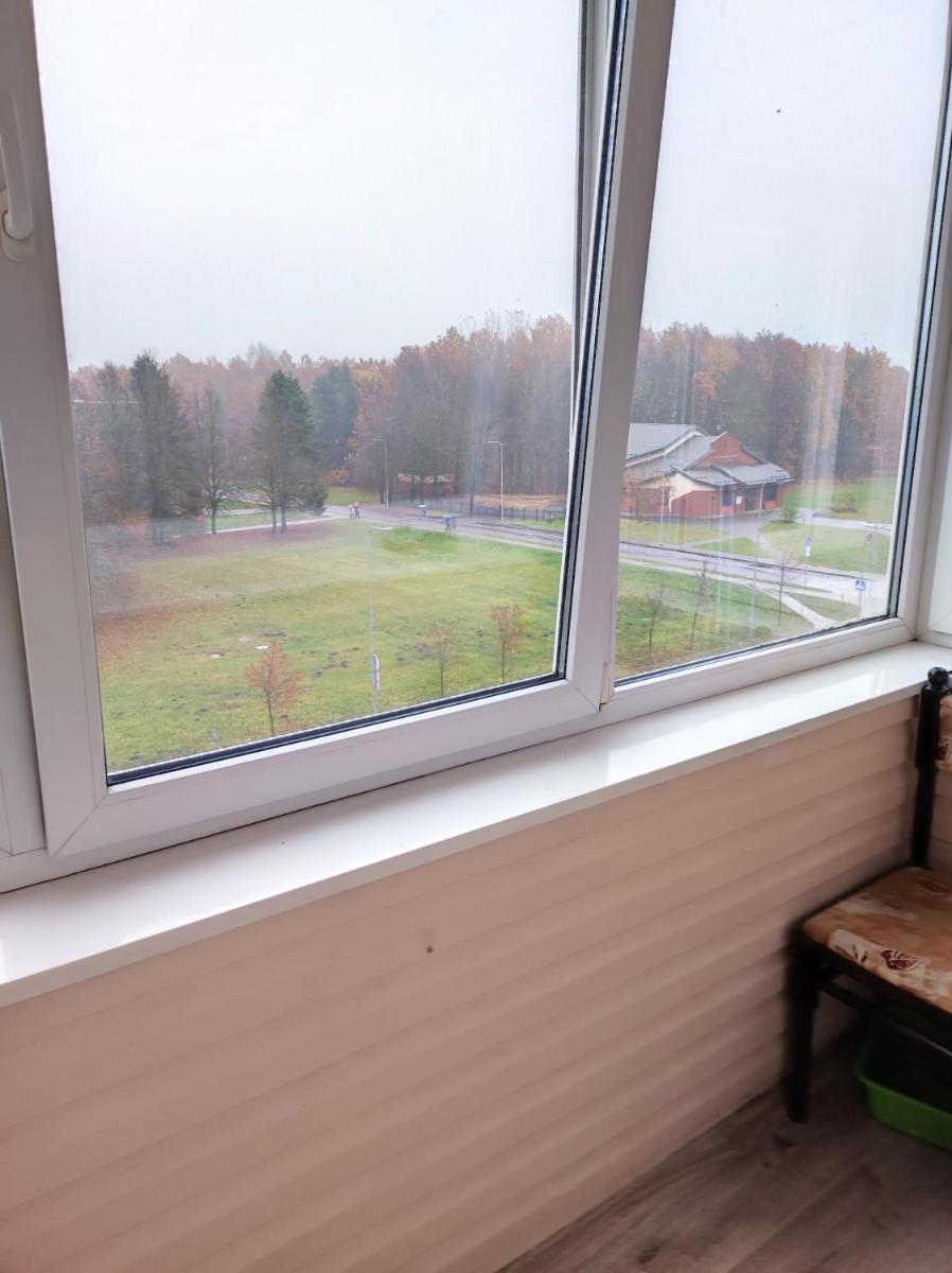 Apartamentai šalia parko - Hizvo