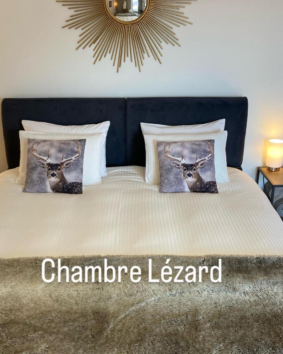 Le Lézard et la Grenouille BnB - Housity
