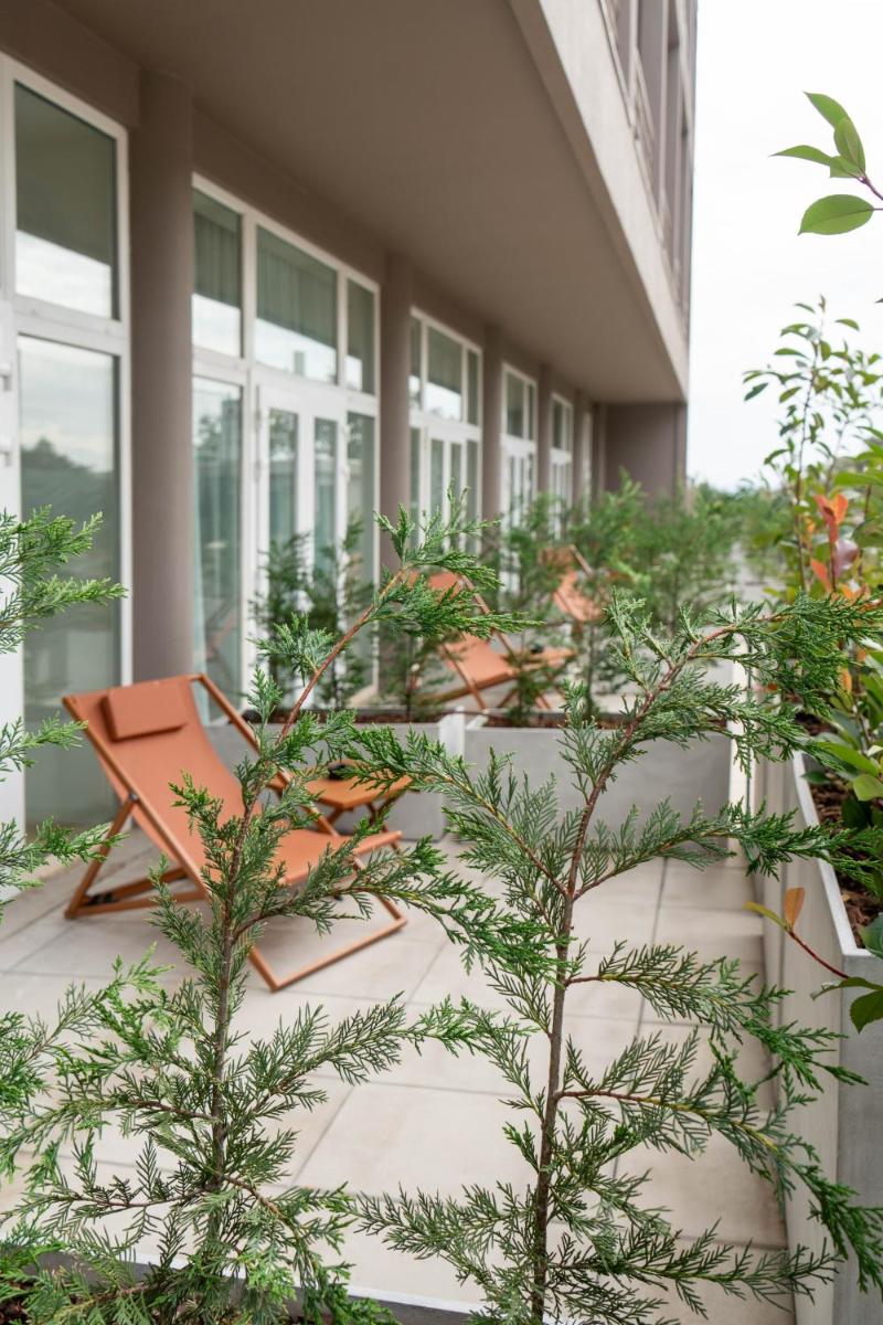 Um jardim no exterior de The Lince Braga