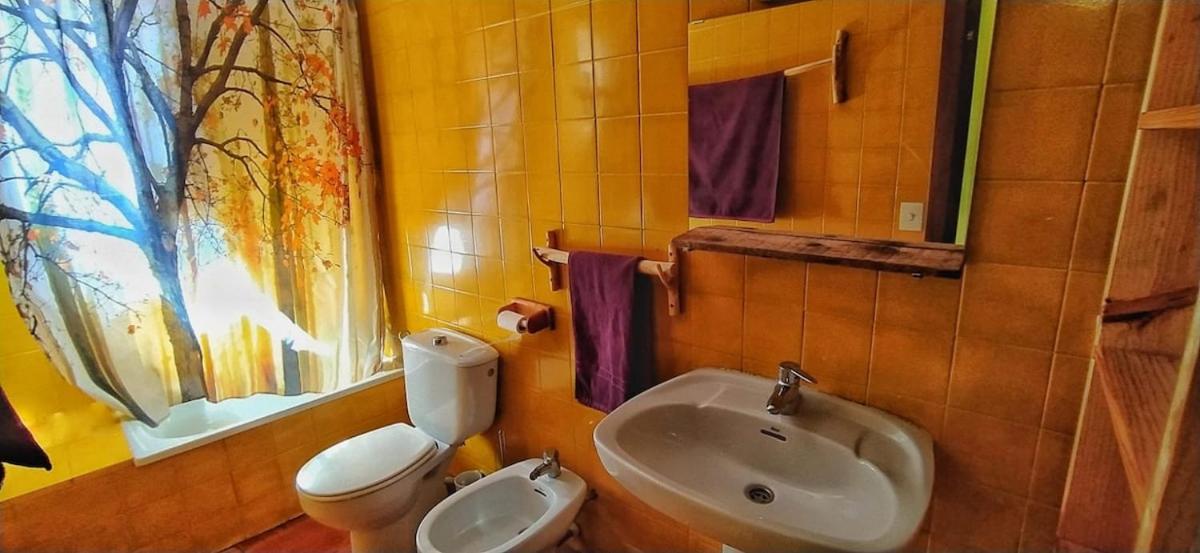 DonPepo Guesthouse - Housity