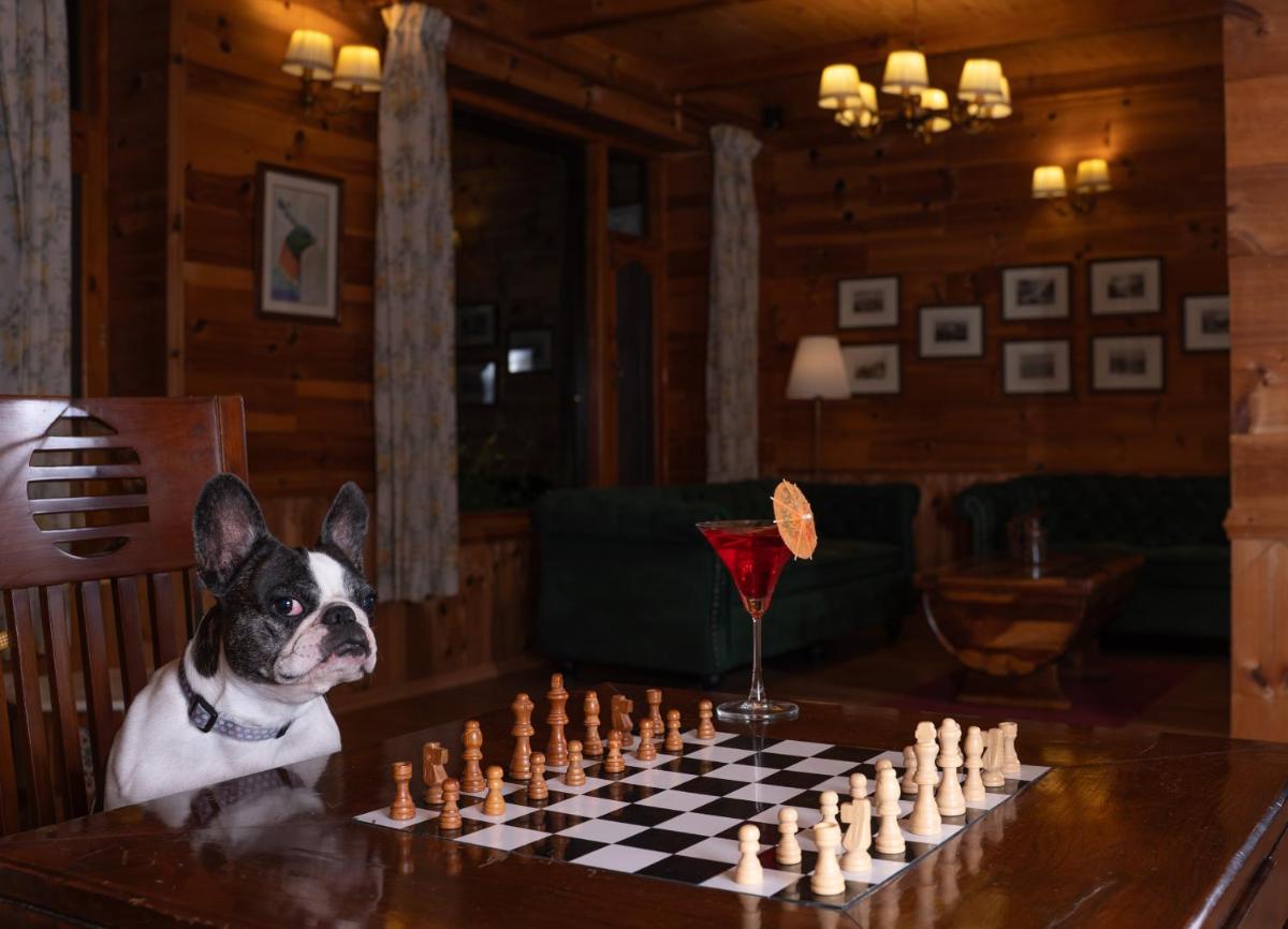 a dog sitting at a table with a chessboard at Storii By ITC Hotels Urvashis Retreat, Manali in Manāli