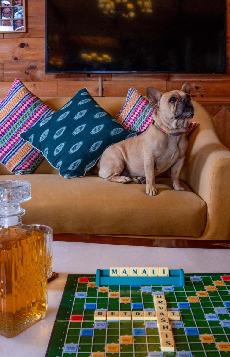 a pug dog sitting on a couch with a board game at Storii By ITC Hotels Urvashis Retreat, Manali in Manāli