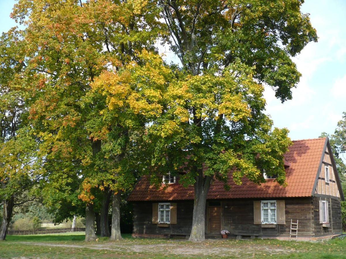 Leśne Apartamenty w Borach Tucholskich - Housity