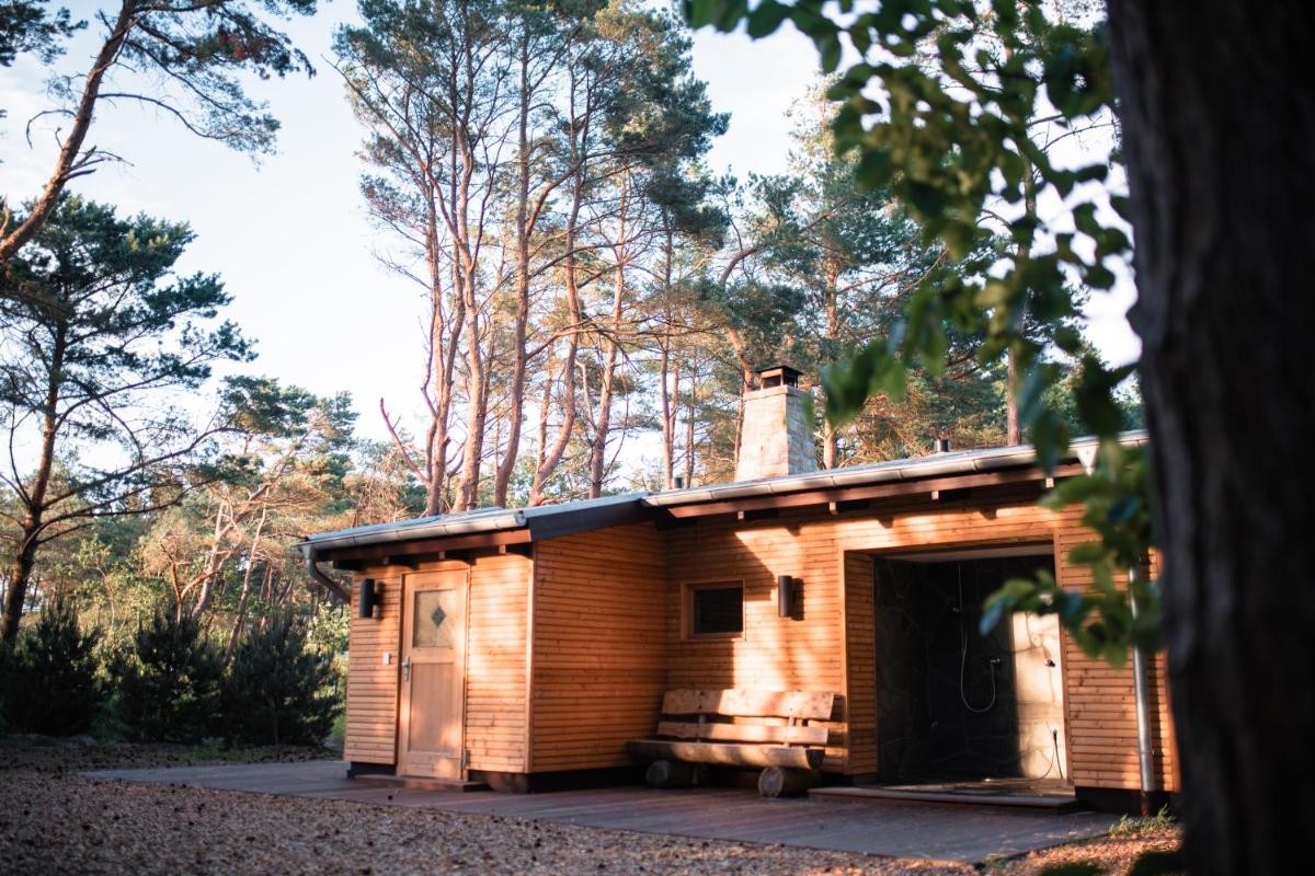 eine kleine Holzhütte mit Tür in einem Wald in der Unterkunft Strandhotel Fischland in Dierhagen