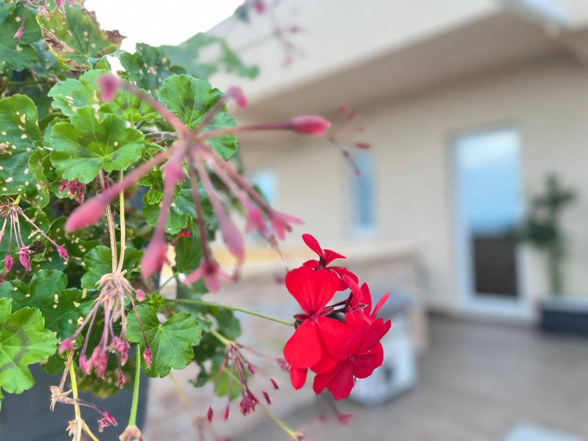 B&B La Terrazza - Housity