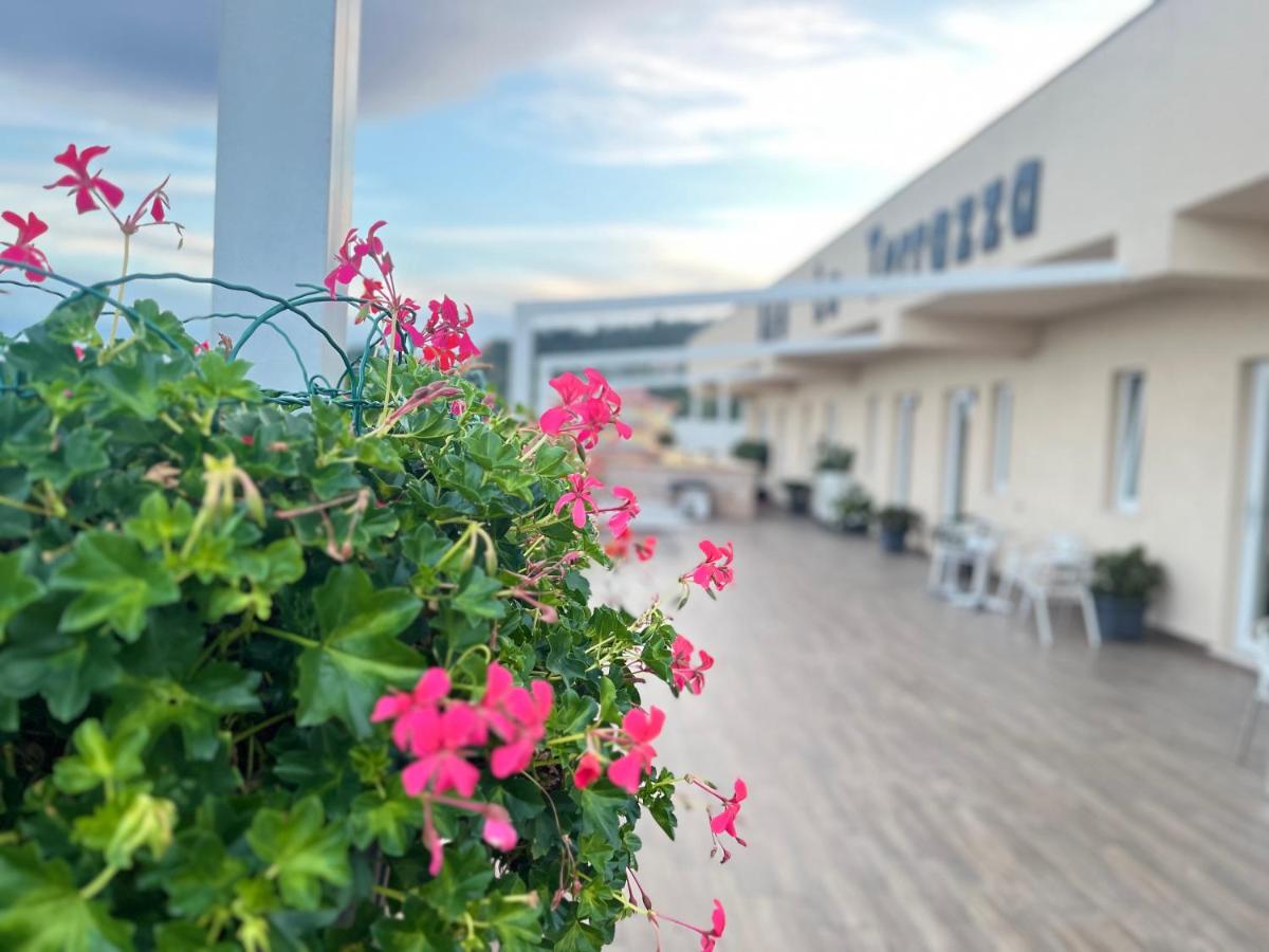 B&B La Terrazza - Housity