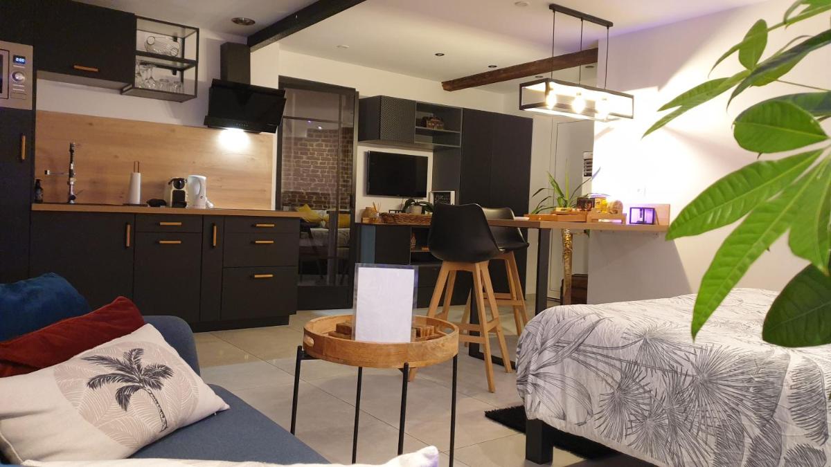 GARY Suite - Studio Cosy, Spa et jardin privatif à 4 min de Cambrai - Housity