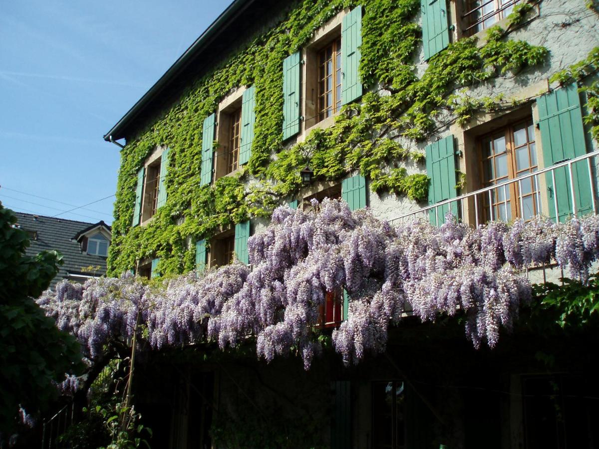 La maison de Concise - Housity