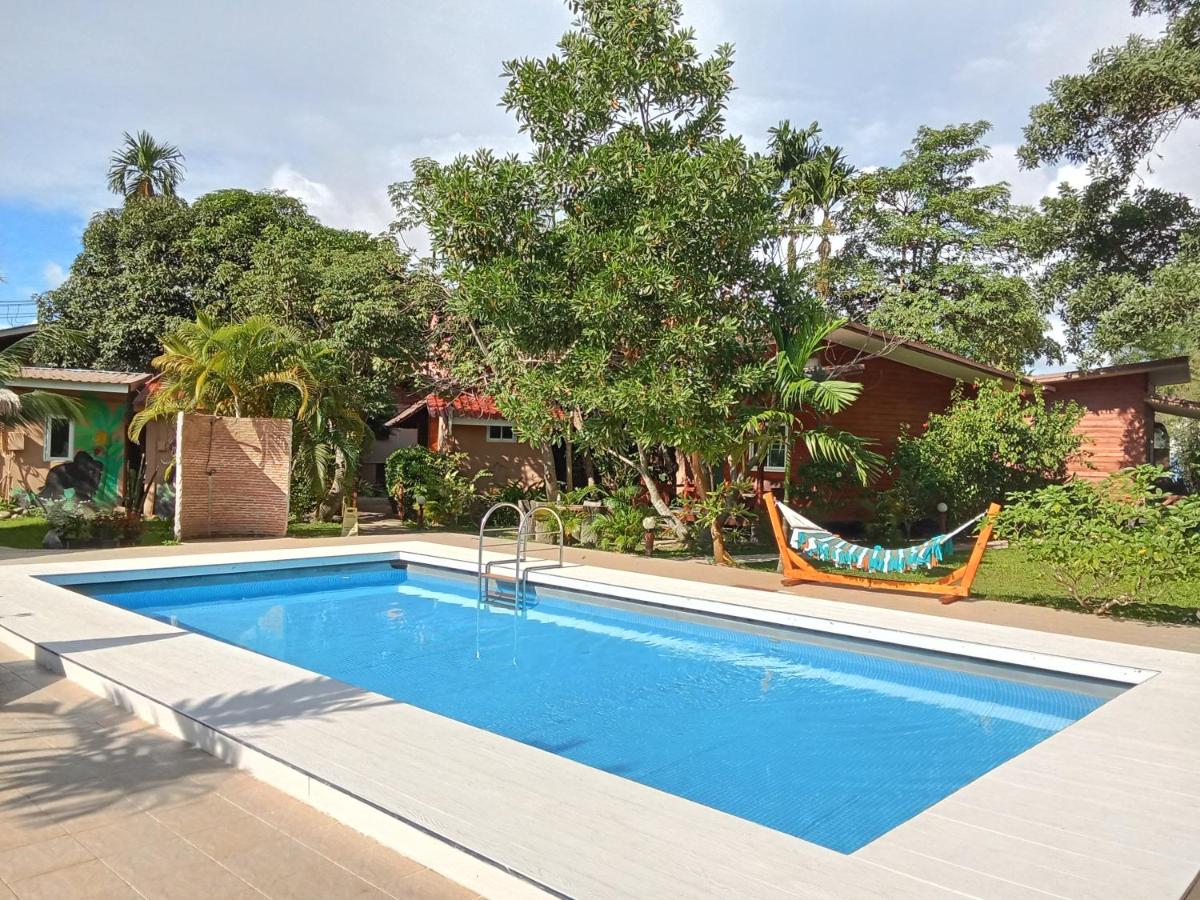 Jungle View Resort - Housity