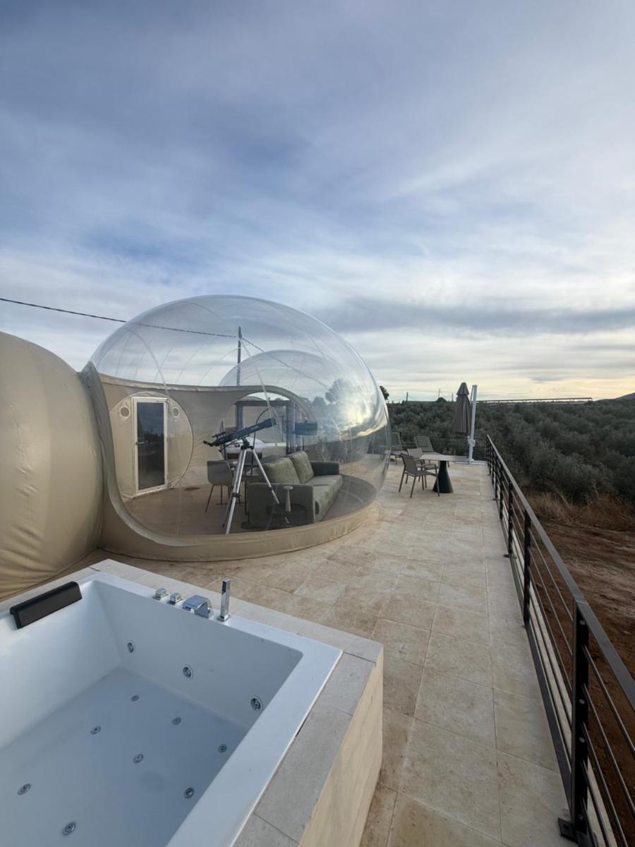 Panoramic Suites Burbuja junto al Puy du Fou y Toledo - Housity