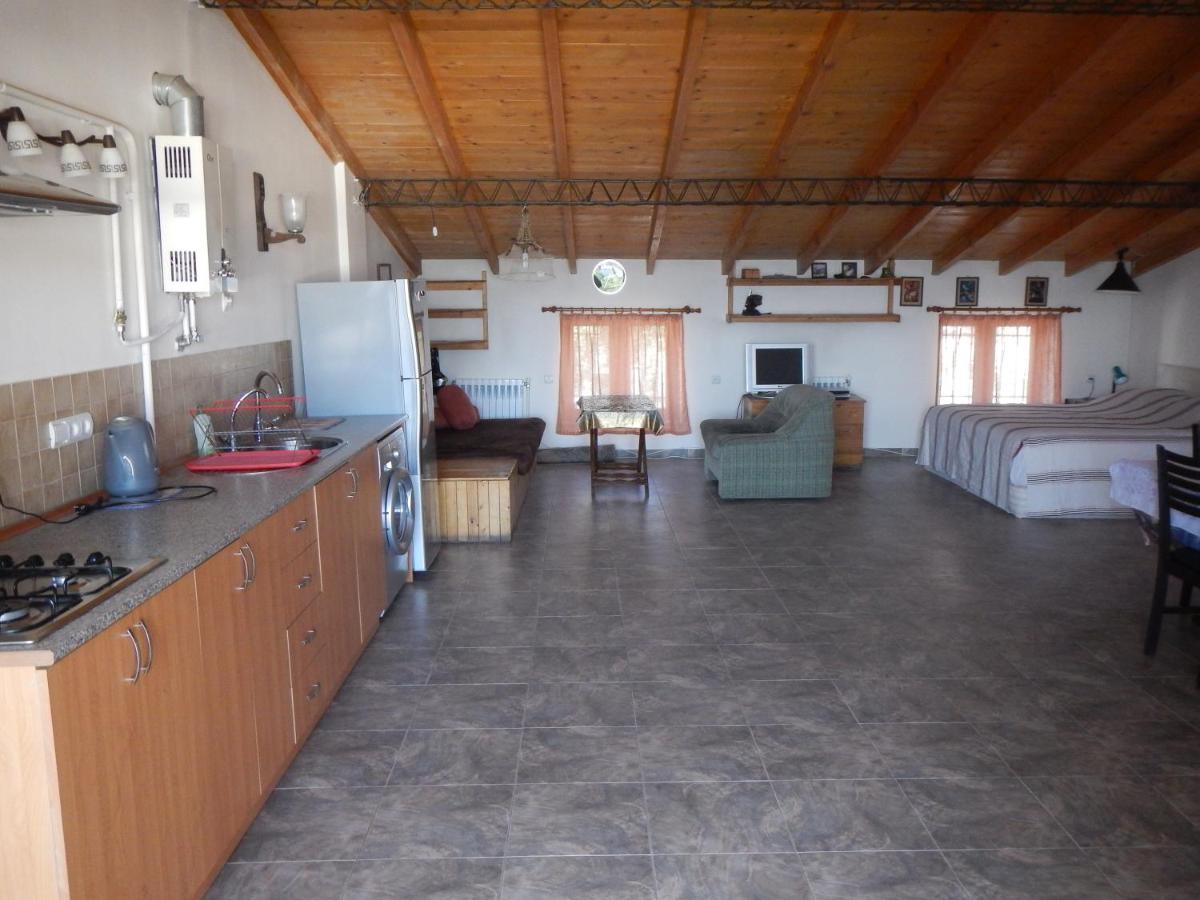 Spacious apartment in Aygedzor street - Hizvo