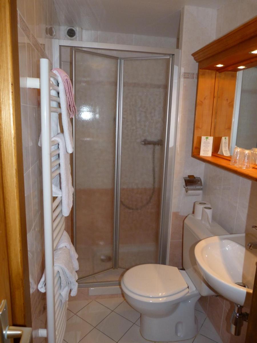 Salle de bains dans l'établissement Hôtel Belalp