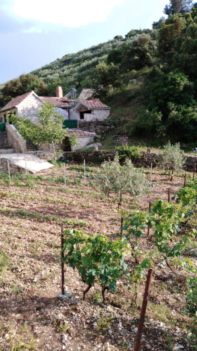 Secluded holiday house Postira, Brac - 17571 - Housity