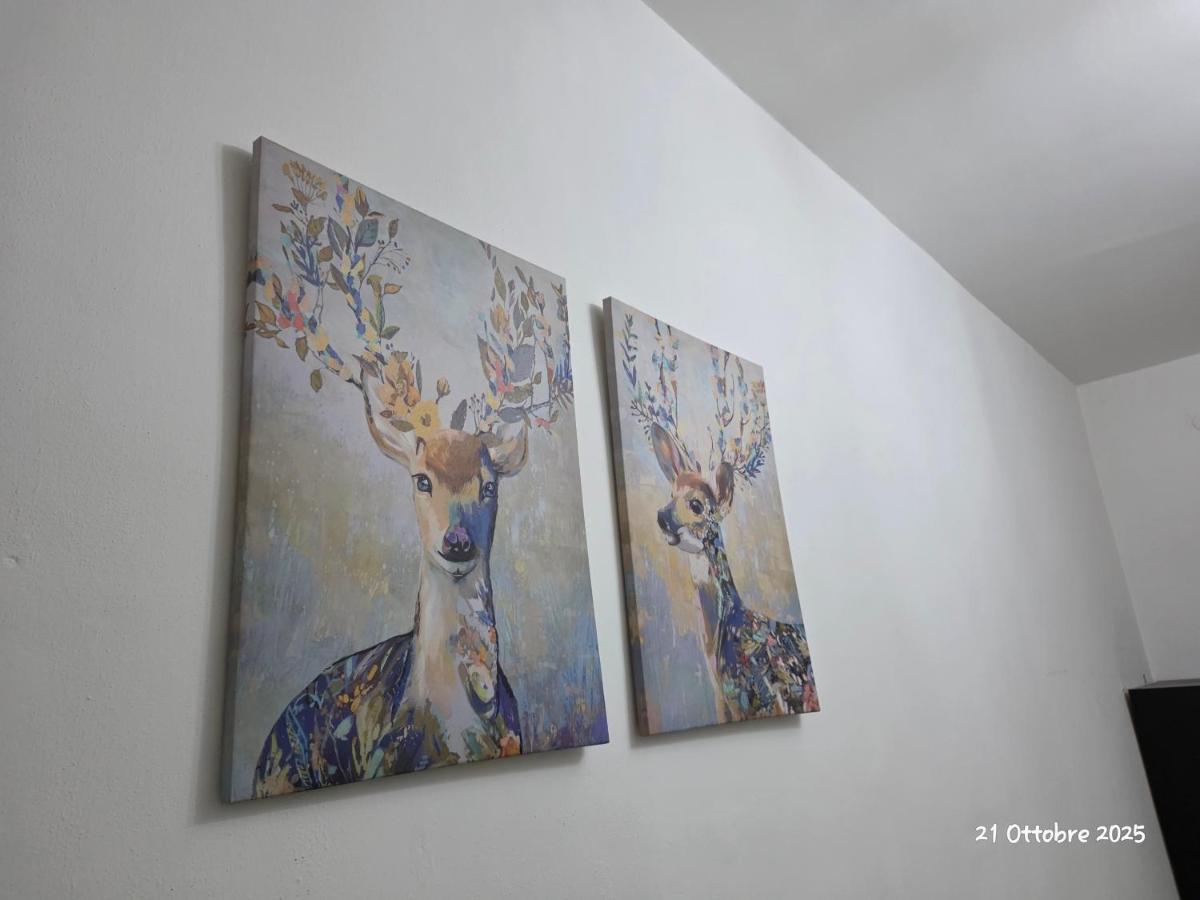 B&B Domus Morfeo - Housity