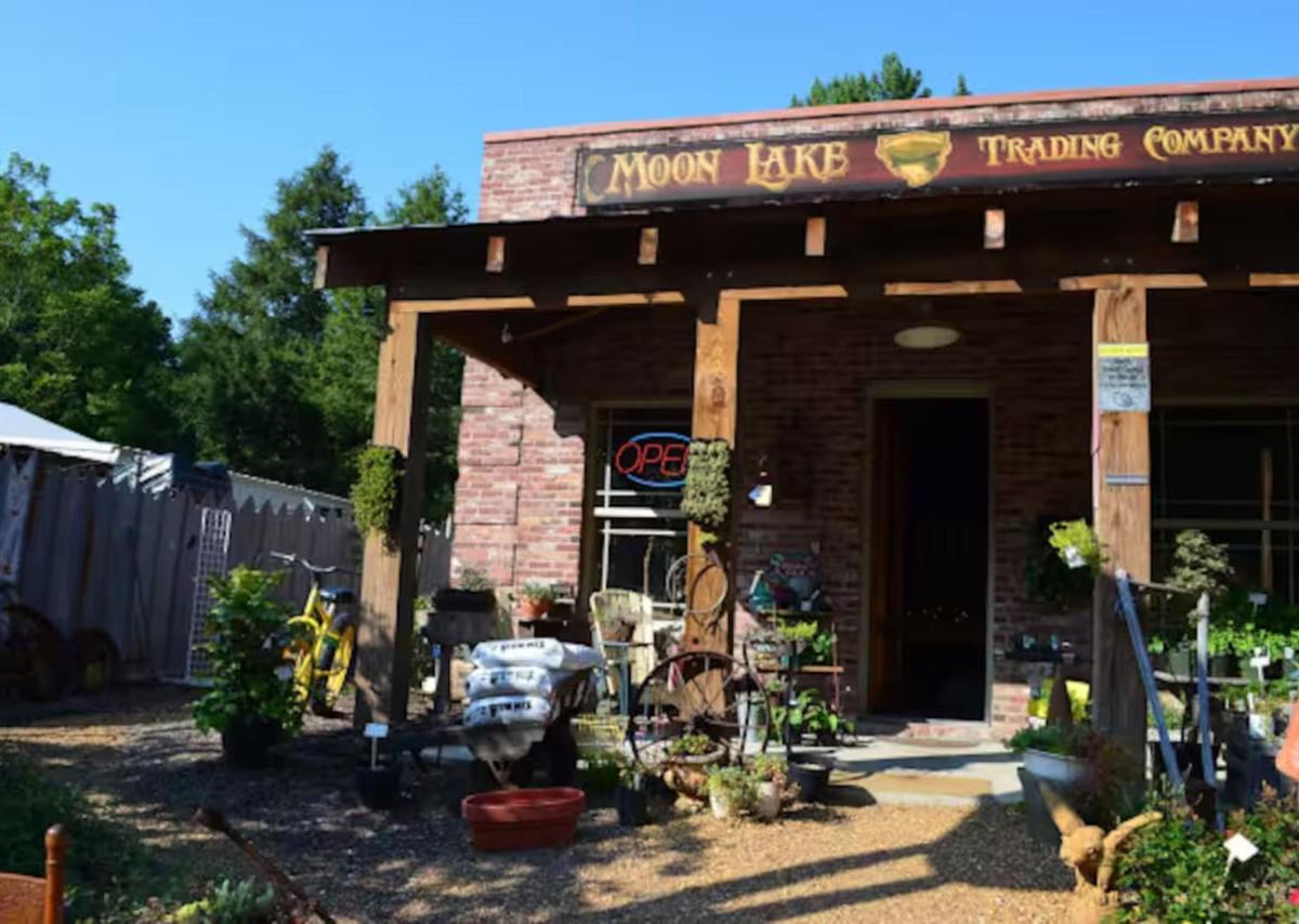 Blueberry Farm Cottage, Hot Tub, Creek, Game Room - Housity