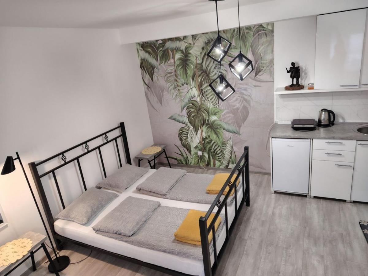 Flora Novi Sad - Housity