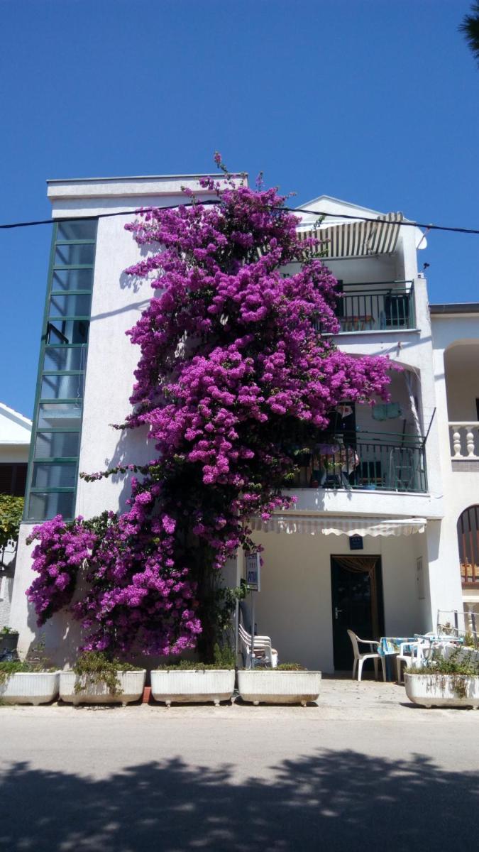 Apartment Ratka Bolic - Housity