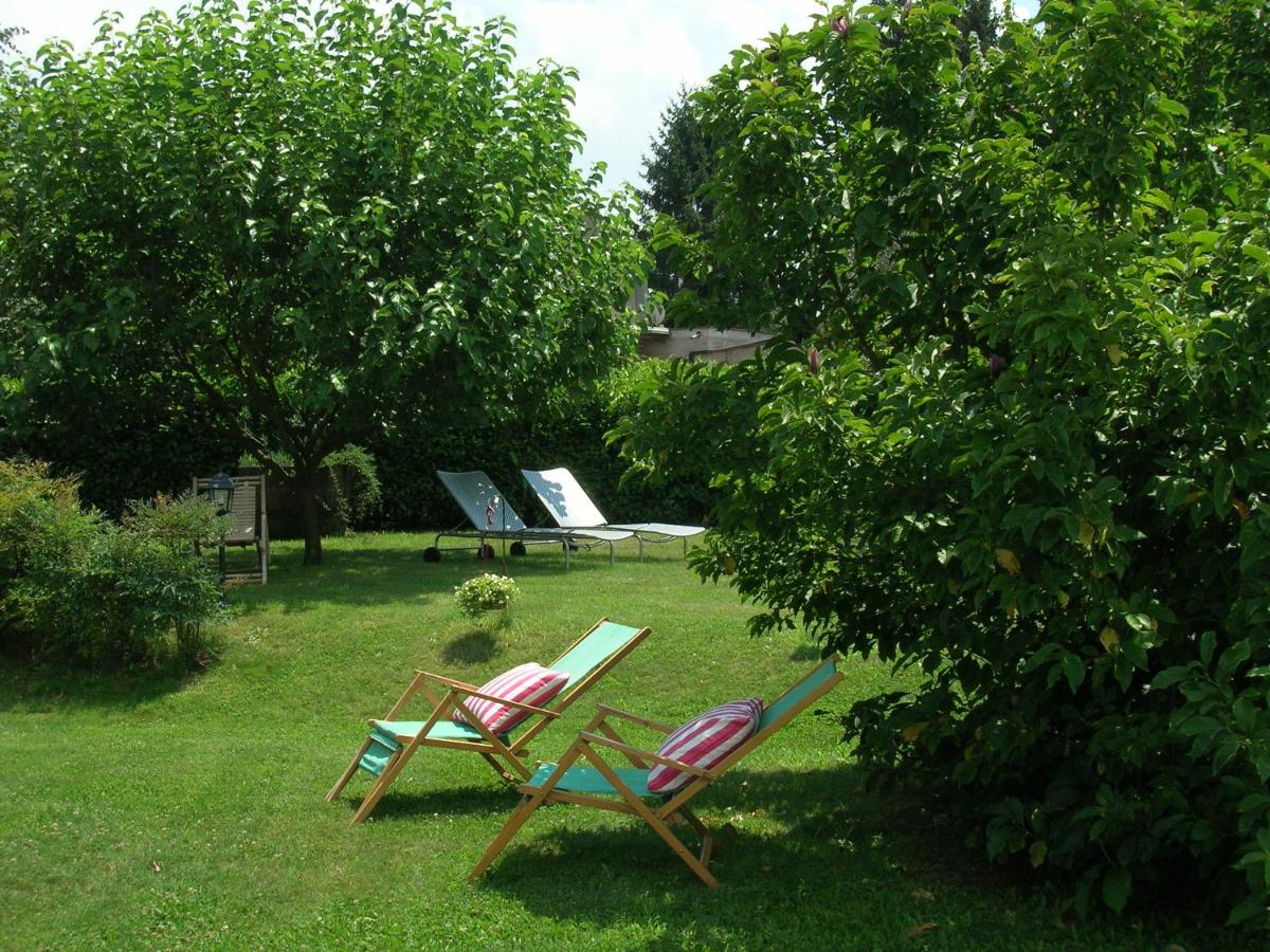 Olive Tree Hill - Housity