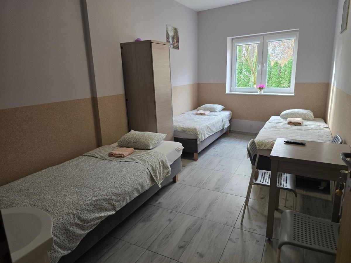 Lawendowy Hostel Wrocław - Housity