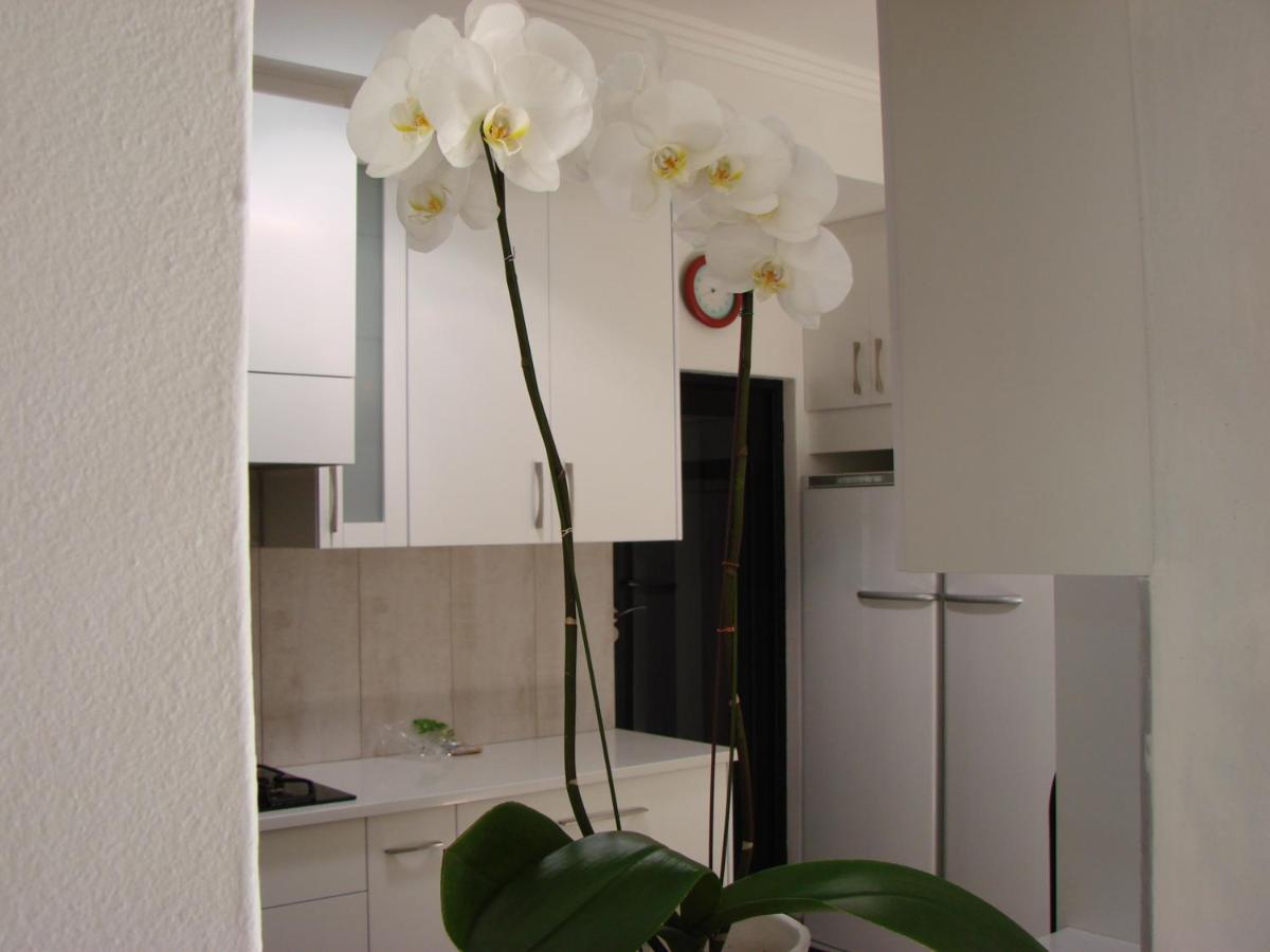 Jedidja Bed and Breakfast - Housity