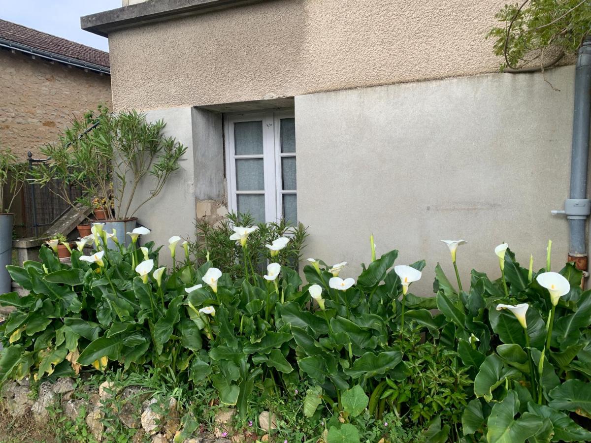 Appartement Les Acanthes 2ch Poitiers centre - Housity