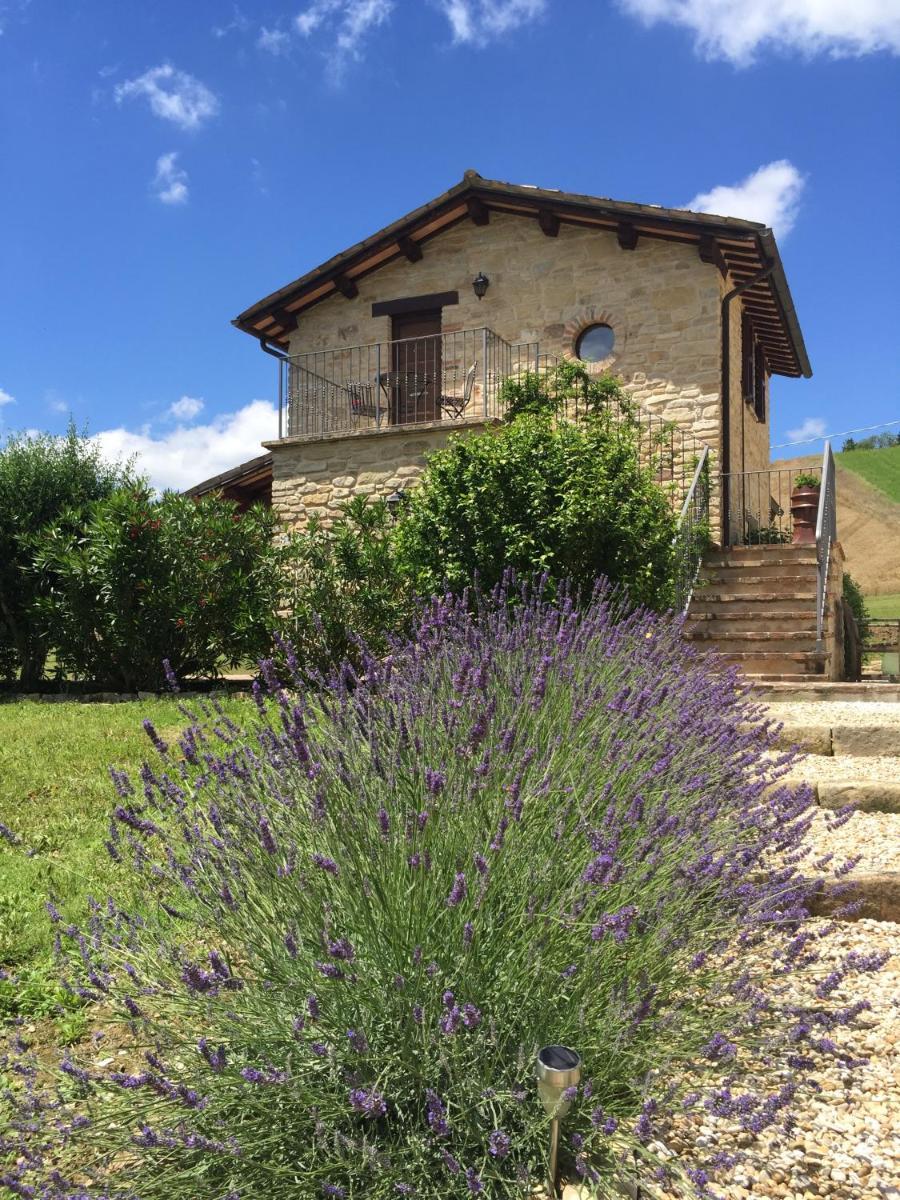 Casa Edera - Housity