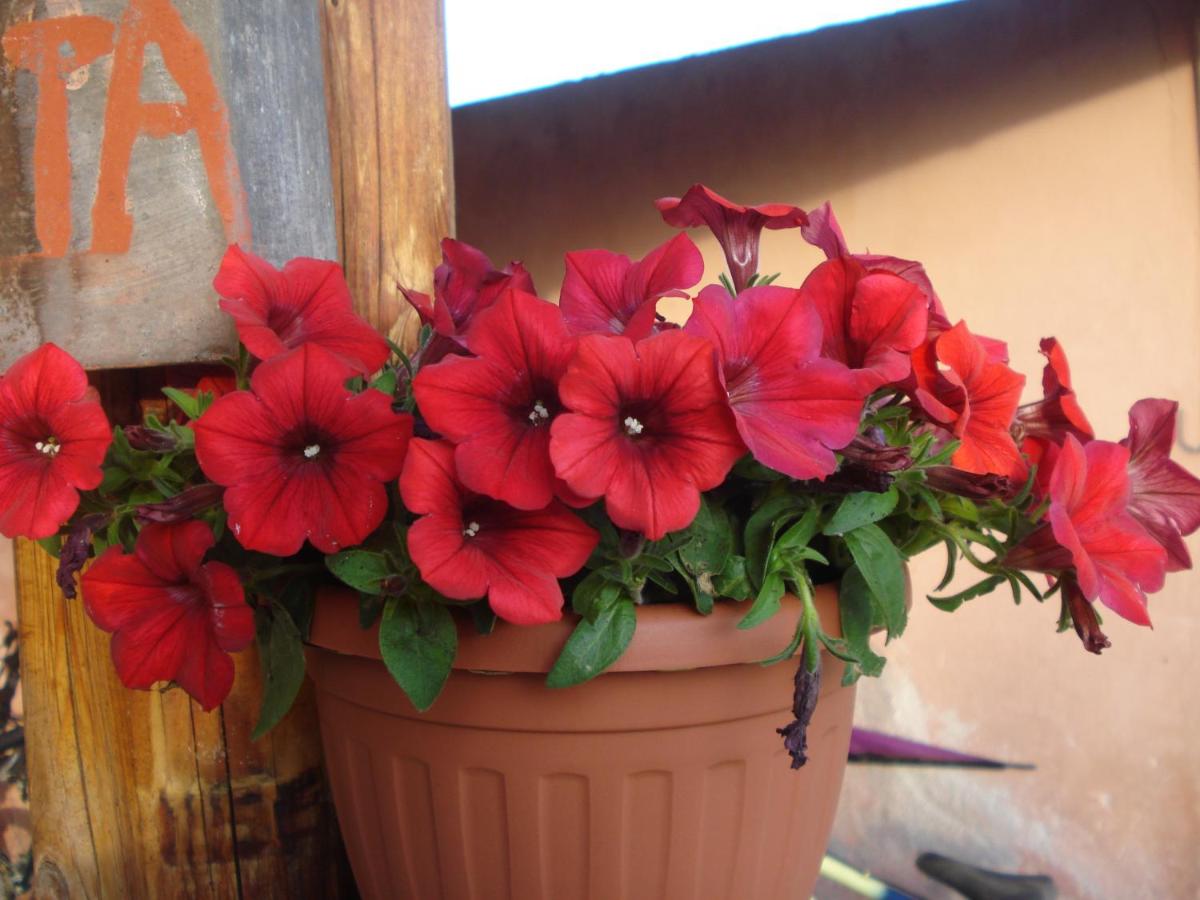 Agriturismo La Fattoria - Housity
