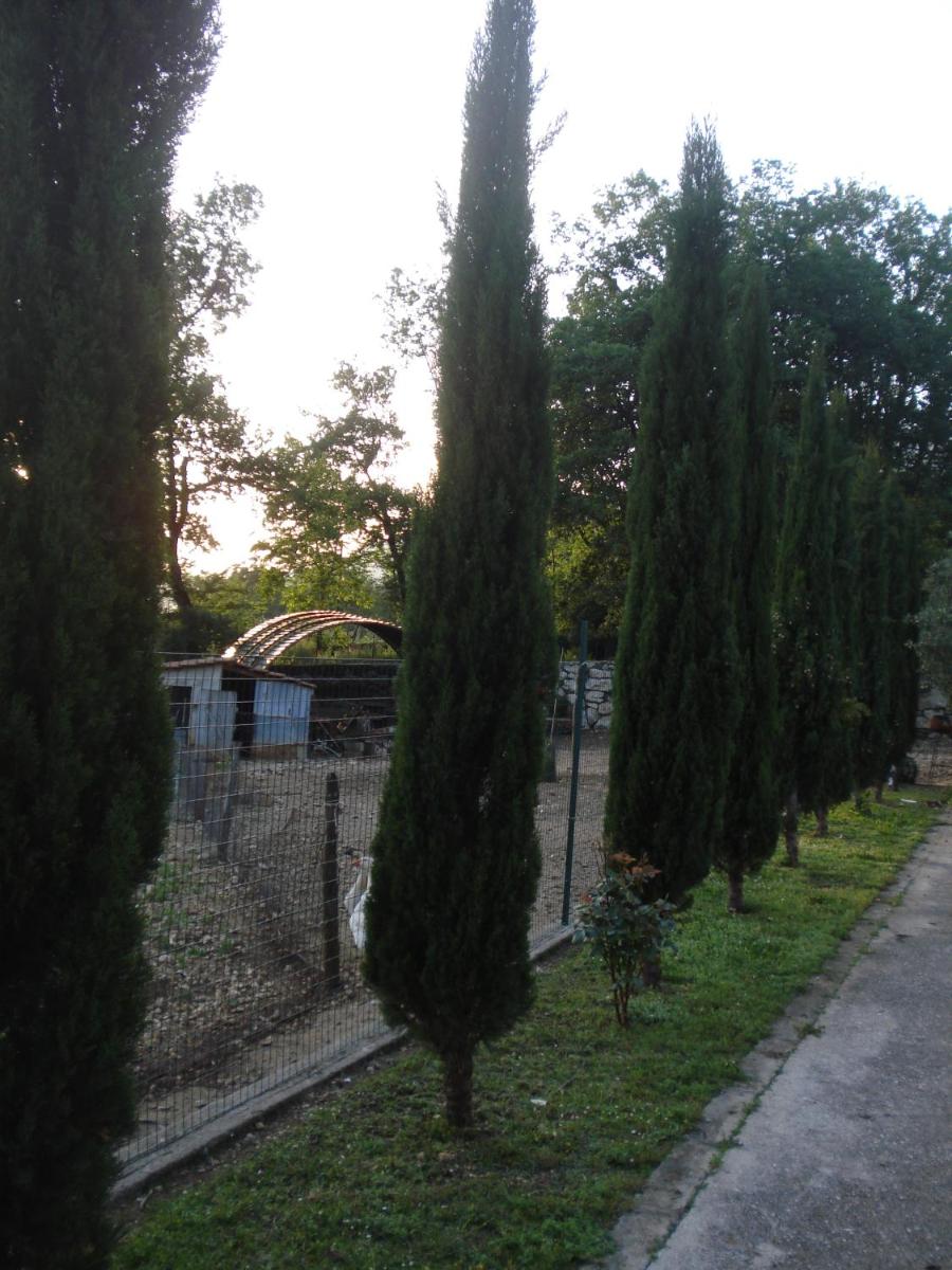 Agriturismo La Fattoria - Housity